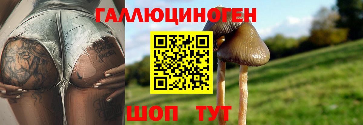 Сорочинск  Галлюциногенные грибы GOLDEN TEACHER  Псилоцибиновые грибы Cubensis  Вход с VPN 