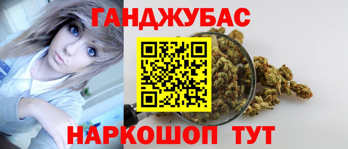 Конопля сатива Сорочинск